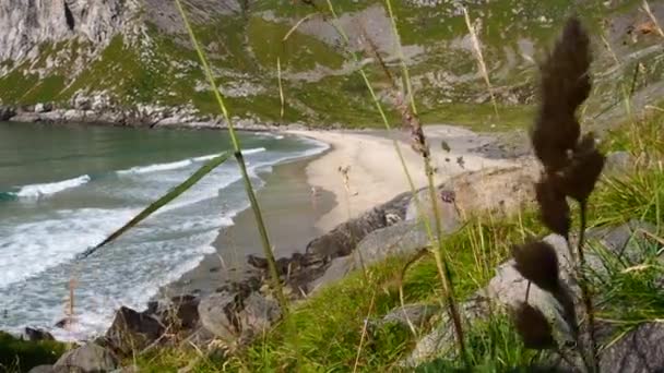 Strand Von Kvalvika Lofoten Norwegen Sommer — Stockvideo