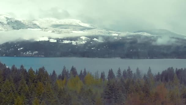 Luftaufnahme Über Dem Cumberland Forest Auf Vancouver Island — Stockvideo