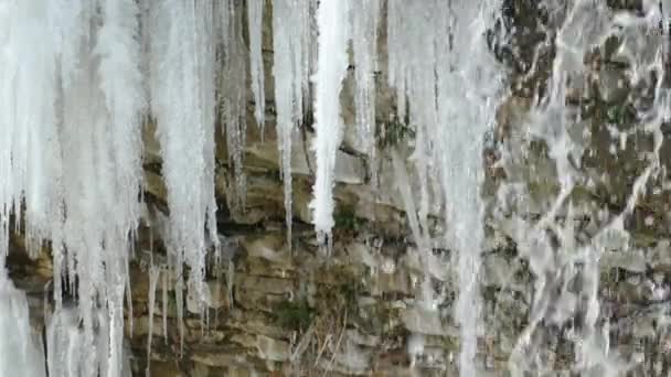 Air Terjun Dan Permukaan Batu Niagara Escarpment Hamilton — Stok Video