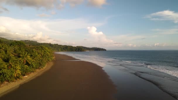 Drone Wide Shot Moving Sandy Beach Tranquil Waves Trees — Wideo stockowe