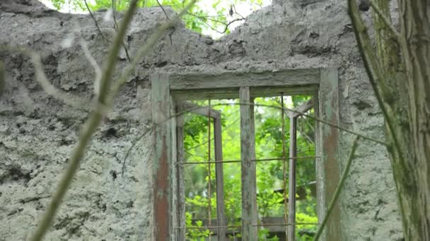森林里一座废弃的破屋的窗户慢慢地向下移动 — 图库视频影像