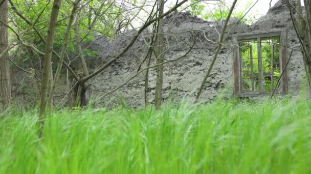 Janela Uma Antiga Casa Abandonada Destruída Floresta Câmera Move Lentamente — Vídeo de Stock
