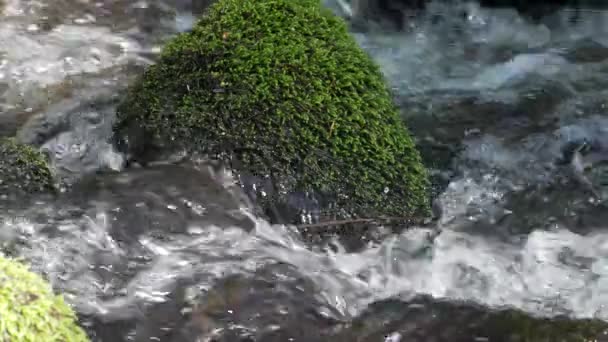 Vista Cerca Del Agua Movimiento Pequeño Arroyo Cámara Lenta — Vídeo de stock