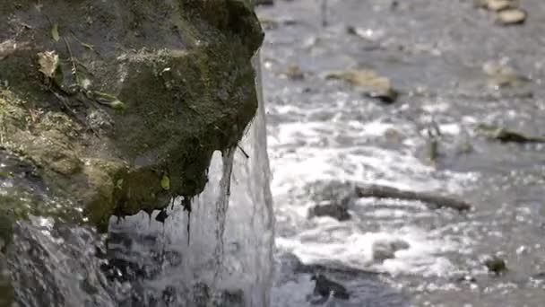 Mossy Rock Wodospadem Nad Nim — Wideo stockowe