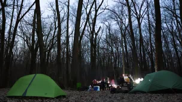 Zeitraffer Von Freunden Ein Lagerfeuer Einem Waldgebiet Versammelt — Stockvideo