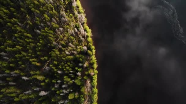 Drone Filmagem Aérea Uma Floresta Com Lago Olhando Cima Para — Vídeo de Stock