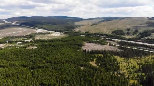 Drohne Luftaufnahmen Eines Abgeholzten Gerodeten Und Neu Gepflanzten Waldes Neben — Stockvideo