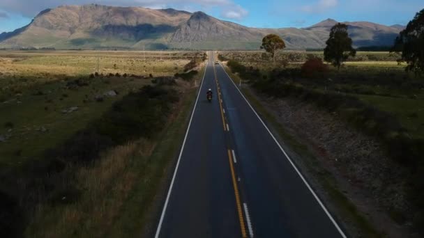 New Zealand Drone Shot Road — Αρχείο Βίντεο