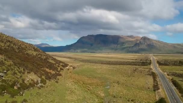 New Zealand Drone Shot Road — Stockvideo