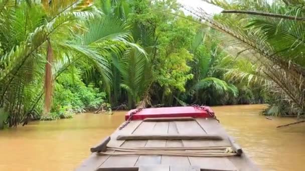 湄公河三角洲游船 — 图库视频影像