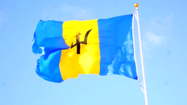 Wielka Flaga Barbadosu Torze Garrison Savannah National — Wideo stockowe