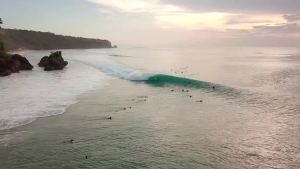 Bali Padang Padang Beach Surfers Aerial — Stock video