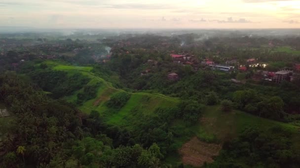 Vuelo Sobre Campuhan Ridge Walk Ubud Bali — Vídeos de Stock