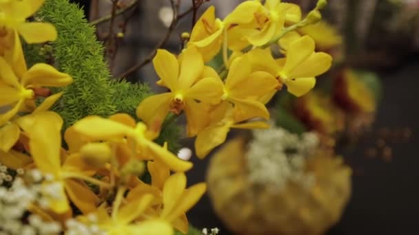 Making Ikebana Filmmaterial — Stockvideo