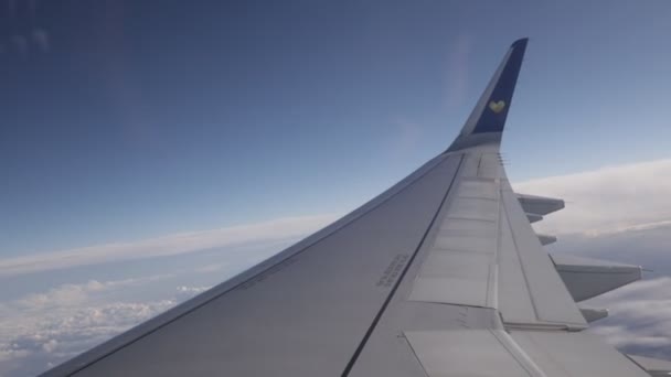 助手席の窓から飛行機の翼 白い雲の下に青い空 — ストック動画