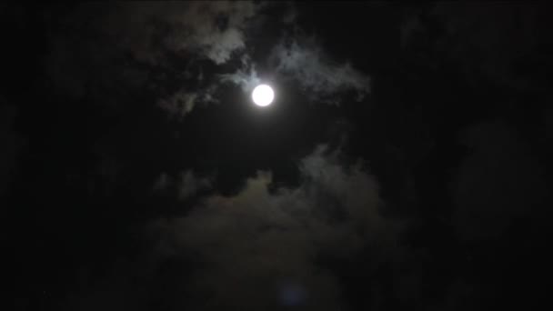 夜空に薄雲と満月の時間の経過 — ストック動画