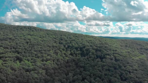 ニューヨーク州のキャッツキル山脈の山の上のドローンの上昇は 豪華な隠された谷と空を明らかにします 雲と美しい景色の滑らかな4Kビデオ — ストック動画