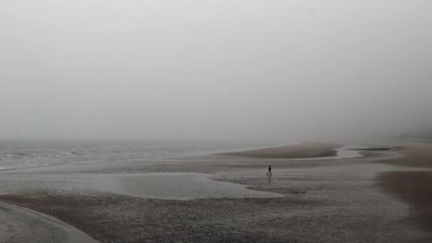 Человек Гуляющий Пляжу Туманный День Нормандии — стоковое видео