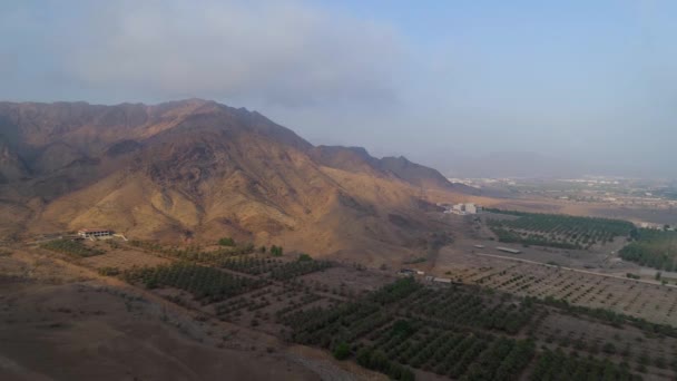 Aérien Survol Une Ferme Palmiers Hatta Couleur Corrigée — Video