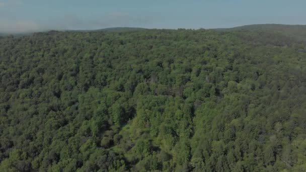 Stacionární Střela Boku Hory Catskill Mountains Státu New York — Stock video