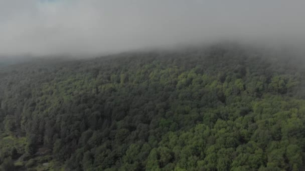 长无人驾驶飞机飞越纽约州Catskill山脉华丽的山谷 道路和低垂的晨云都看得见 — 图库视频影像