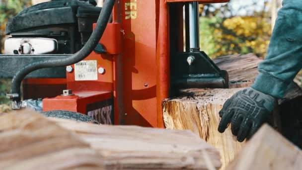 Man Splitting Wood Autumn Wood Splitter Piling — Stock Video