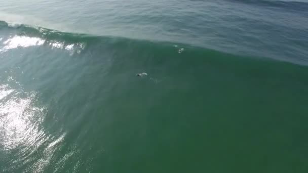 Bodyboarder Con Lycra Rojo Cogiendo Una Ola Haciendo Algunas Maniobras — Vídeos de Stock