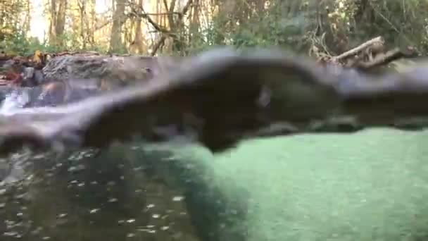 Unterwasservideo Eines Kleinen Baches Wenn Über Die Felsen Fließt — Stockvideo