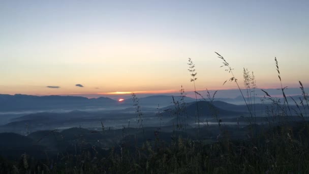 Lever Coucher Soleil Herbe Haute Devant — Video