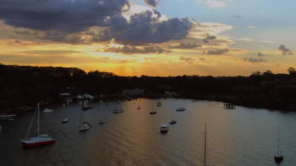 Aerial Pôr Sol Sobre Porto Australiano Pacífico Com Barcos Balançando — Vídeo de Stock