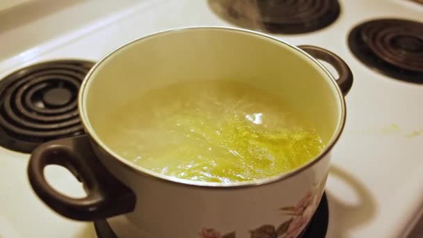 Pot Water Begins Boil Electric Stove — Stok video