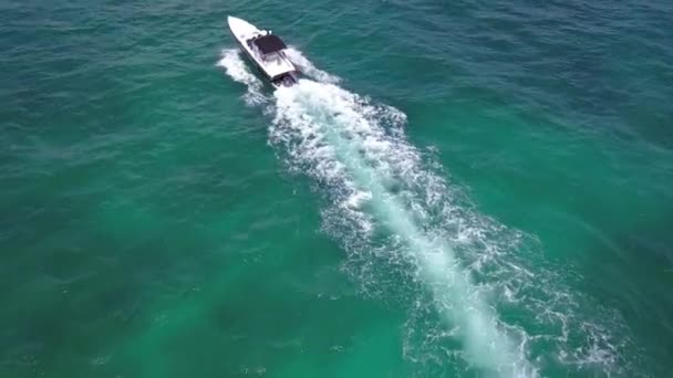 空中フォローボートはシャキッと青い水を通って移動 — ストック動画