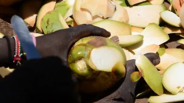 Kokosnoot Verkoper Opent Kokosnoot Met Traditioneel Mes Close — Stockvideo