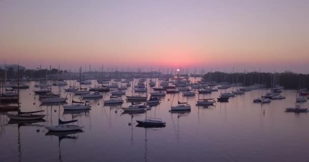 Aerial Fly Reveal Boat Filled Harbor Sunrise — Wideo stockowe