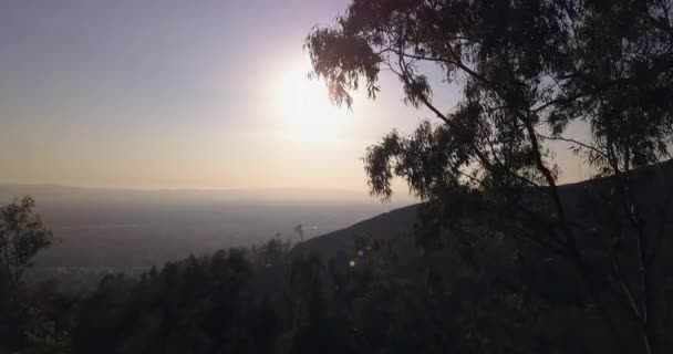 Aerial Fly Trees Reveal San Fernando Valley Evening — Stock Video