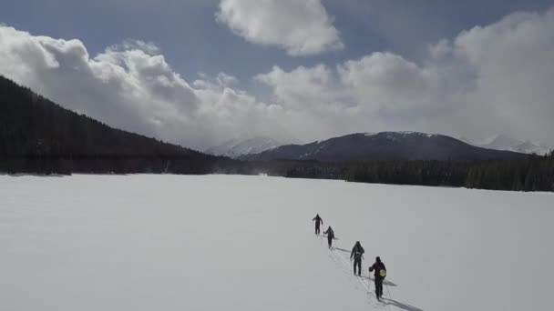 Drohnenbild Von Skilangläufern Die Über Den Zugefrorenen See Flitzen Hintergrund — Stockvideo