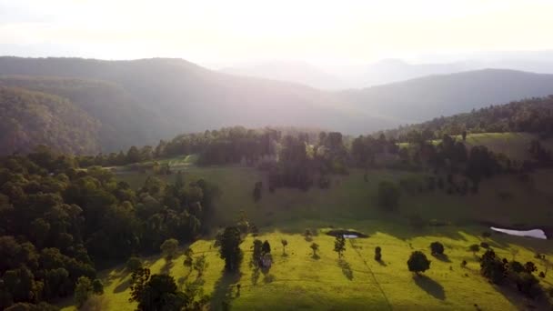 Εθνικό Πάρκο Lamington Στην Αυστραλία Queensland — Αρχείο Βίντεο