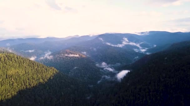 Lamington Park Iperlasso Nebbia Sulle Colline Australia Queensland — Video Stock