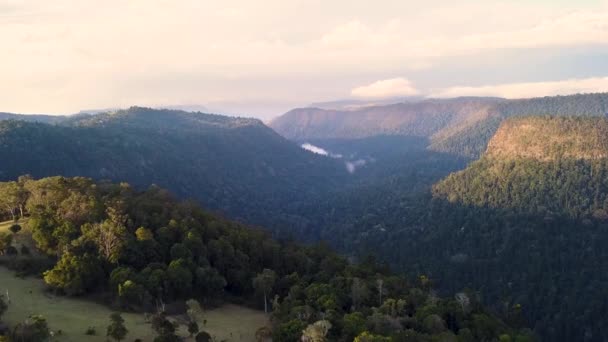 Εθνικό Πάρκο Lamington Queensland Λόφους Εναέρια Austarlia — Αρχείο Βίντεο