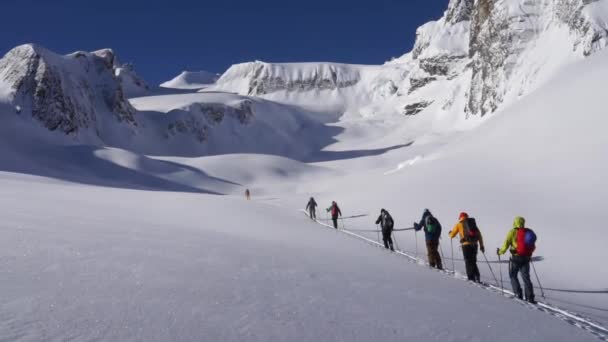 Colorful Group Backcountry Skiers Ascending Skintrack — 图库视频影像