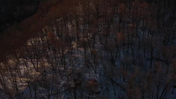 Drone Zbliżenie Ośnieżony Las Górski Grzbiet Wschodzie Słońca — Wideo stockowe