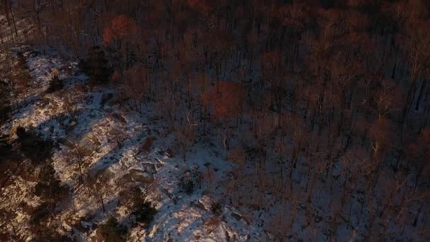 Blisko Wiadukt Drona Śnieżnych Drzew Leśnych Grzbiecie Zimie Wschodzie Słońca — Wideo stockowe