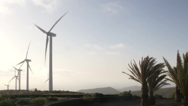スペイン カナリア諸島ランサローテでの風力タービンのワイドショット — ストック動画