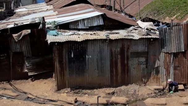 Pan Tin Roofed Shacks Kibera Slum Nairobi Kenya — Stok video