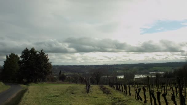 Timelapse Wine Vineyard France Bordeaux Winter — ストック動画
