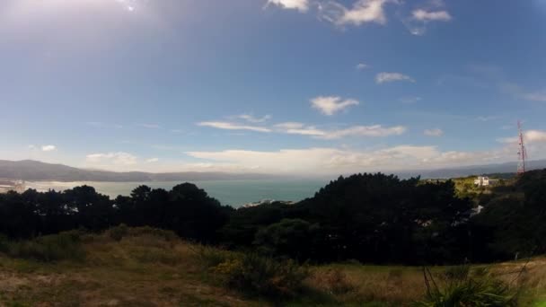 Timelapse Patrząc Morze Wellington Nowa Zelandia — Wideo stockowe