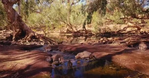 Luchtdrone Vliegt Door Australische Woestijn Oasis Billabong River — Stockvideo