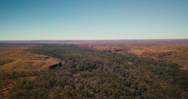 空中无人机鸟瞰缓慢倾斜通过澳大利亚沙漠绿洲内陆河流 — 图库视频影像
