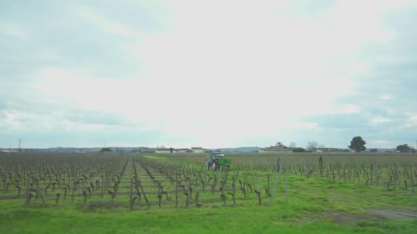 Viña Invierno Con Tractor Las Filas — Vídeos de Stock