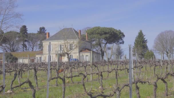 Зимовий Французький Виноградник Будинком Задньому Плані — стокове відео